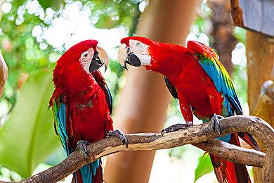 《寂静岭f》西田凛子演员公开 美丽姐姐演女主好友